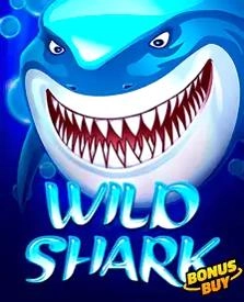 Wild-Shark